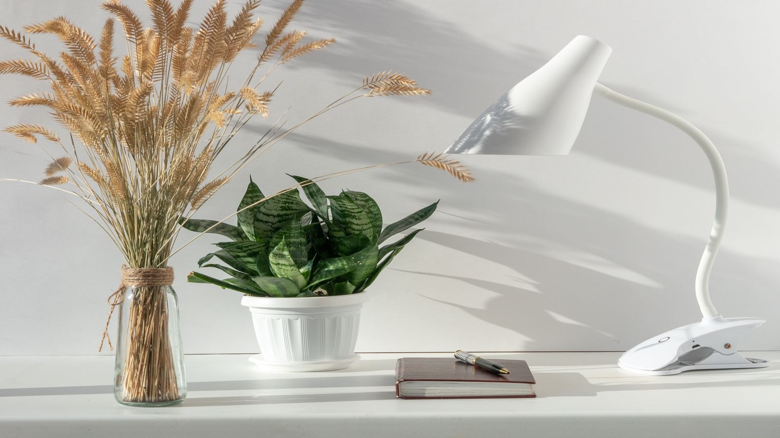 How to Create a Good Study Environment at Home